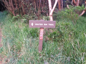 The beginning of the Crater Rim Trail