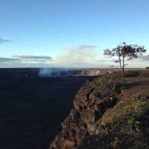 This is probably my favorite picture.  Smoke from the crater and this lone tree.